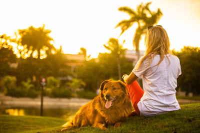 New Pet Parent Essentials: How to Support Health and Happiness for Dogs and Cats
