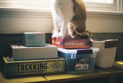 Top 8 Essential Pet Supplies Every Dog and Cat Owner Needs