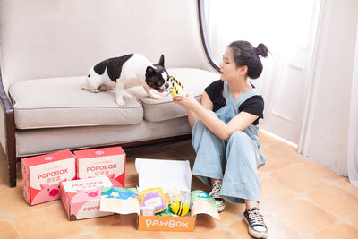 Essential Pet Supplies: Must-Haves for Your New Puppy or Kitten